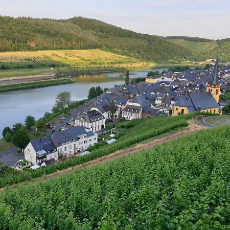 Ferienwohnung Mosea Zeltingen-Rachtig Exterior foto